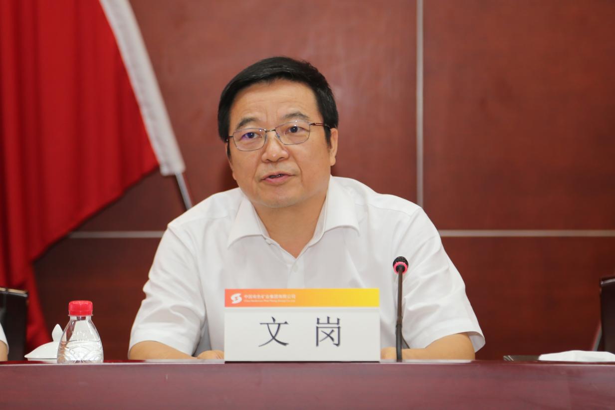 要更好地发挥党的政治优势和组织优势